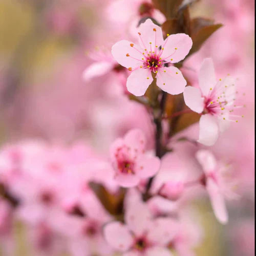 Embracing Sustainable Beauty: Industry Making a Difference