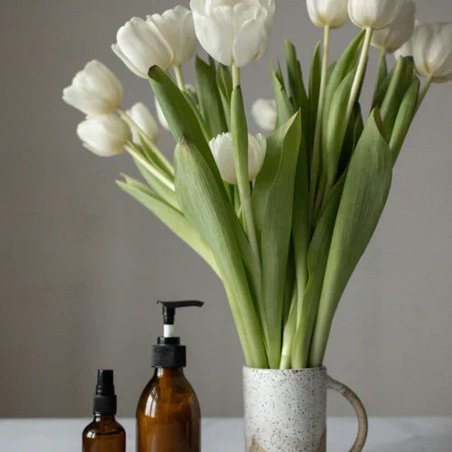 The Science of Anti-Aging Skincare: What Really Works?